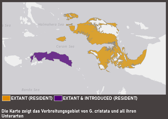 Verbreitungskarte Blaubrust-Krontaube