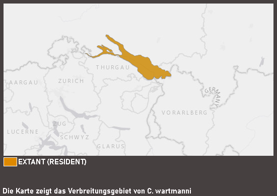 Verbreitungskarte Blaufelchen