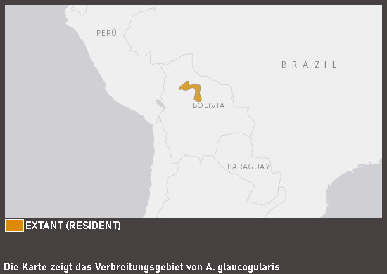 Verbreitungskarte Blaukehlara