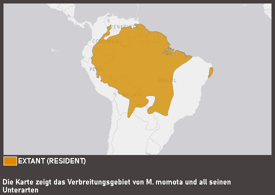 Verbreitungskarte Blaukronenmotmot (kein Unterartenstatus)