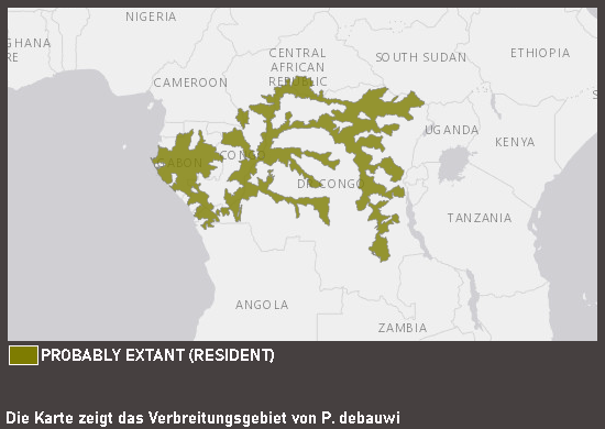 Verbreitungskarte Blaustreifen-Glaswels