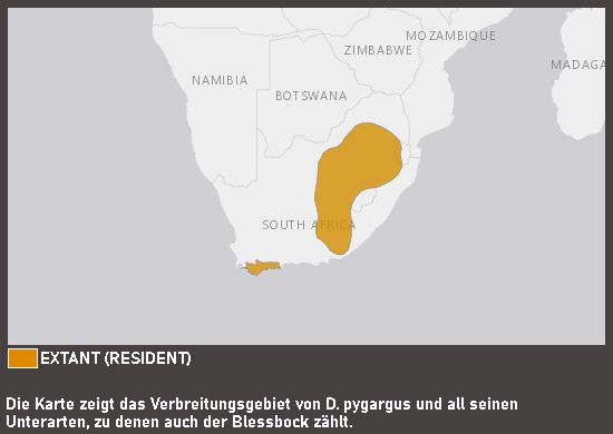 Verbreitungskarte Blessbock