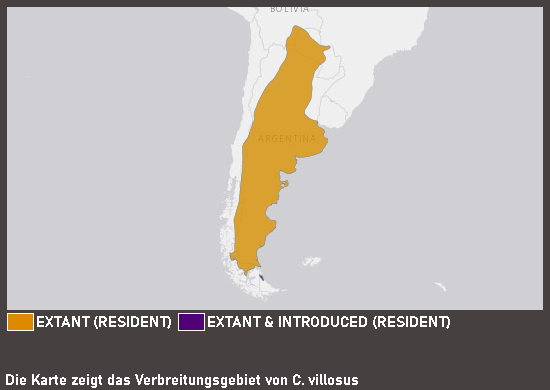 Verbreitungskarte Braunborsten-Gürteltier