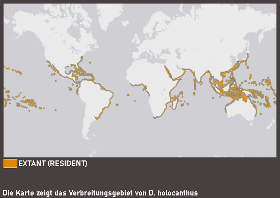 Verbreitungskarte Braunflecken-Igelfisch