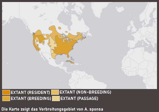 Verbreitungskarte Brautente