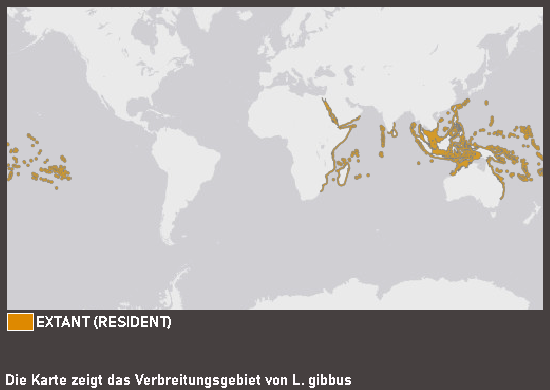 Verbreitungskarte Buckelschnapper
