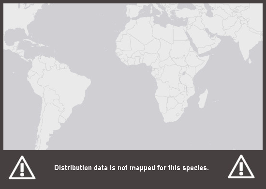 Verbreitungskarte Catonephele numilia