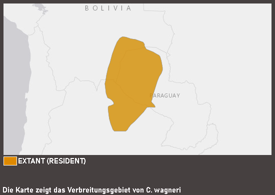 Verbreitungskarte Chaco-Pekari