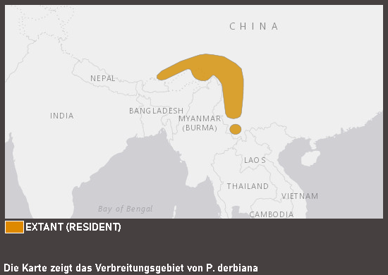 Verbreitungskarte Chinasittich