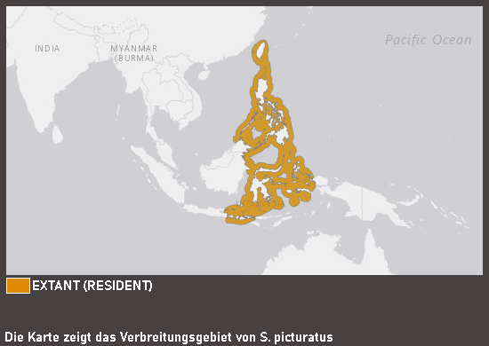 Verbreitungskarte Clown-Zwergleierfisch
