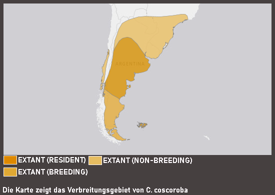 Verbreitungskarte Coscorobaschwan