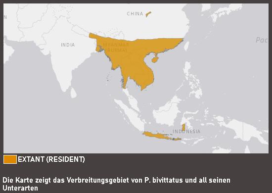 Verbreitungskarte Dunkler Tigerpython