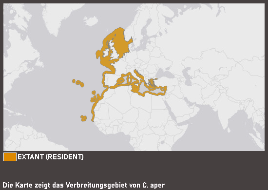 Verbreitungskarte Eberfisch