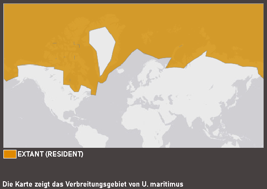 Verbreitungskarte Eisbär