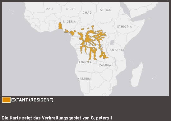 Verbreitungskarte Elefantenrüsselfisch