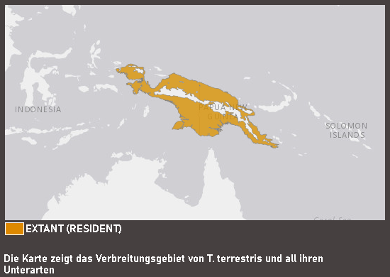 Verbreitungskarte Erdtaube