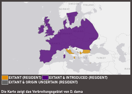 Verbreitungskarte Europäischer Damhirsch