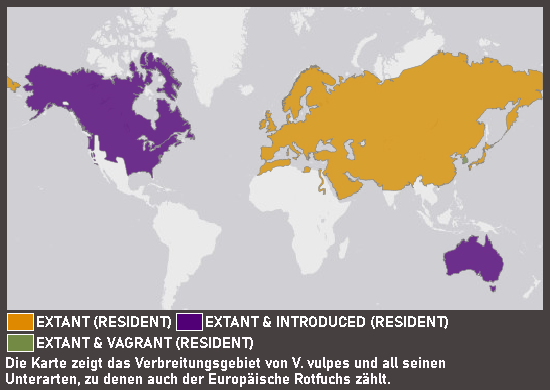 Verbreitungskarte Europäischer Rotfuchs