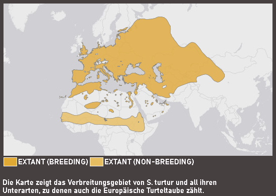 Verbreitungskarte Europäische Turteltaube