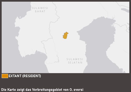 Verbreitungskarte Evers-Reiskärpfling