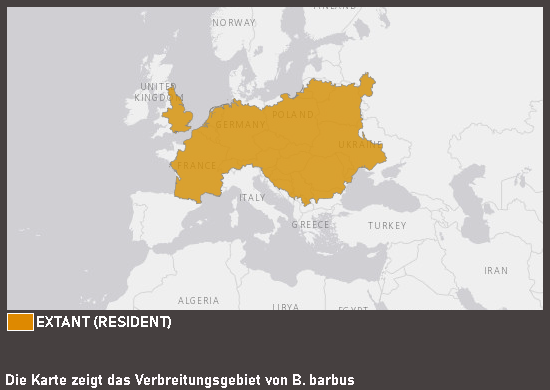 Verbreitungskarte Flussbarbe