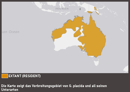 Verbreitungskarte Friedenstäubchen