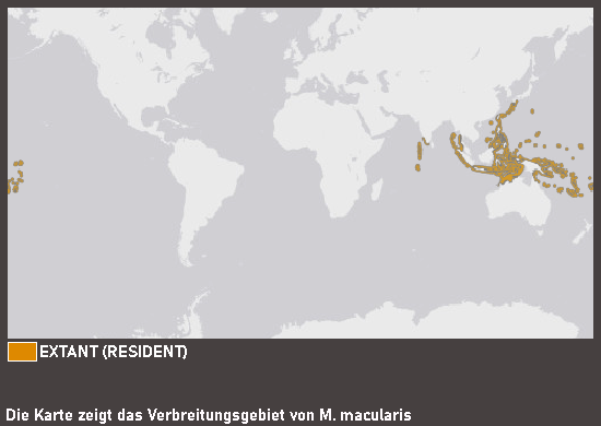 Verbreitungskarte Gelbaugenschnapper