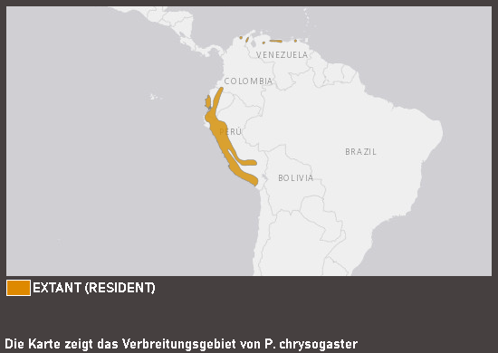 Verbreitungskarte Gelbbauch-Kernknacker