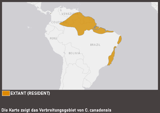 Verbreitungskarte Gelbbauchkardinal