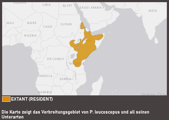 Verbreitungskarte Gelbkehlfrankolin