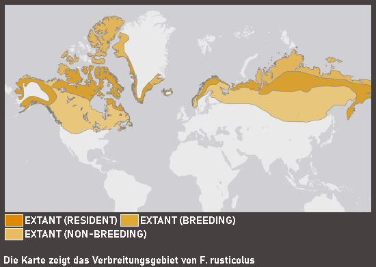 Verbreitungskarte Gerfalke