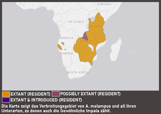 Verbreitungskarte Gewöhnliche Impala