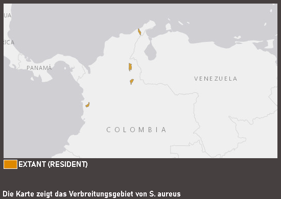 Verbreitugskarte Goldbartwels