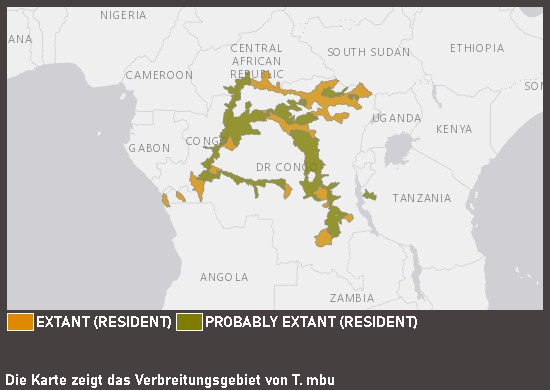 Verbreitungskarte Goldringel-Kugelfisch