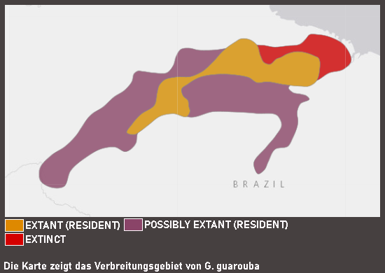 Verbreitungskarte Goldsittich