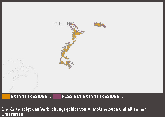 Verbreitungskarte Großer Panda