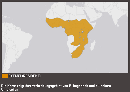 Verbreitungskarte Hagedaschibis (kein Unterartenstatus)