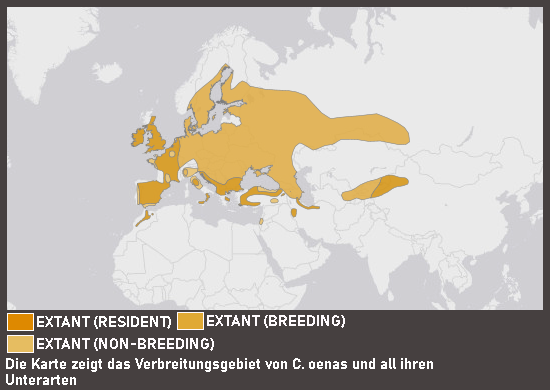 Verbreitungskarte Hohltaube