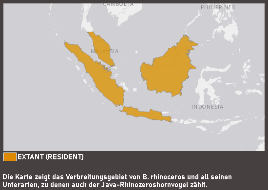 Verbreitungskarte Java-Rhinozeroshornvogel