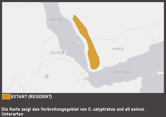 Verbreitungskarte Jemenchamäleon