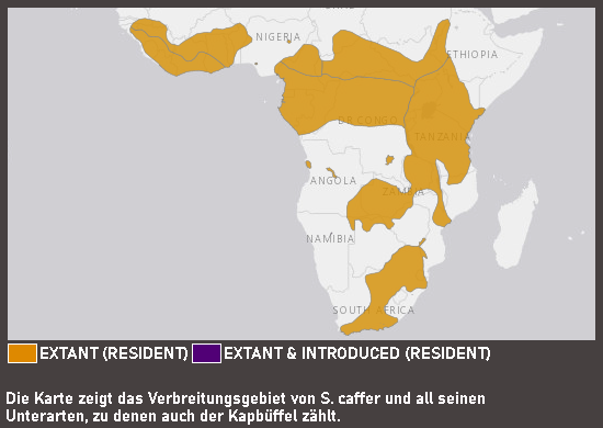 Verbreitungskarte Kapbüffel