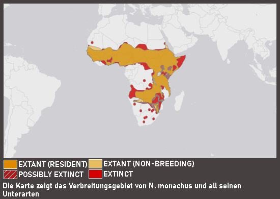 Verbreitungskarte Kappengeier (kein Unterartenstatus)