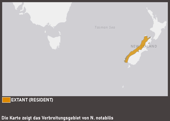 Verbreitungskarte Kea
