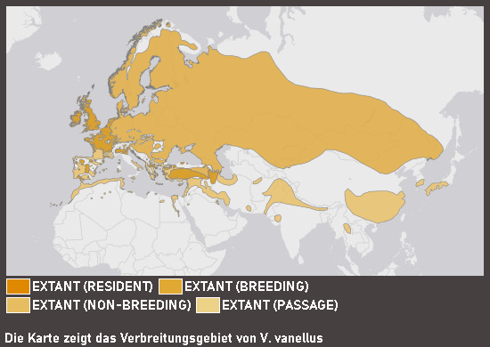 Verbreitungskarte Kiebitz