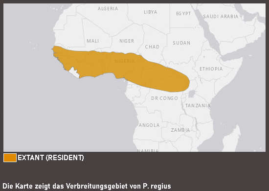 Verbreitungskarte Königspython