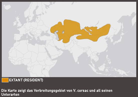 Verbreitungskarte Korsak
