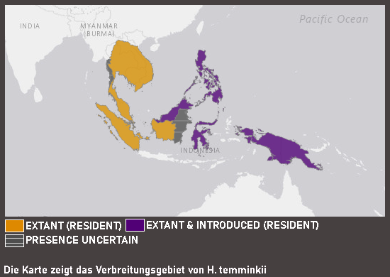 Verbreitungskarte Küssender Gurami