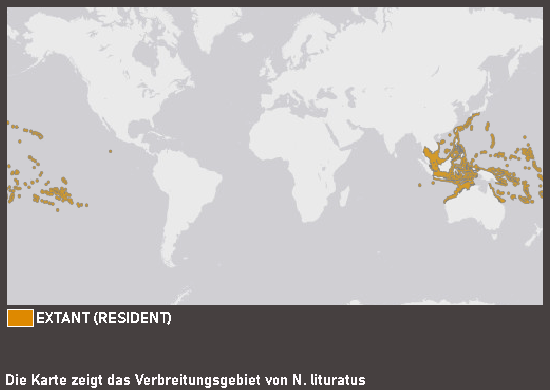 Verbreitungskarte Kuhkopf-Doktorfisch