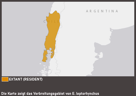 Verbreitungskarte Langschnabelsittich