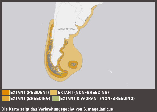 Verbreitungskarte Magellanpinguin